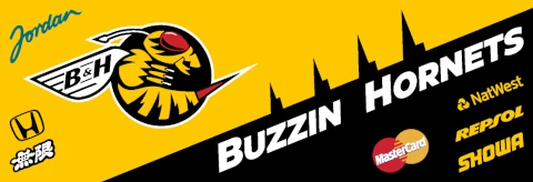 Jordan F1 team 1998 | ACC | by Toxic Pixel Design